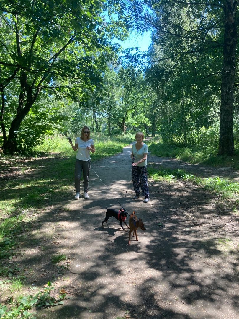 Солнечногорск, Рекинцо, парк, благоустройство, отдых