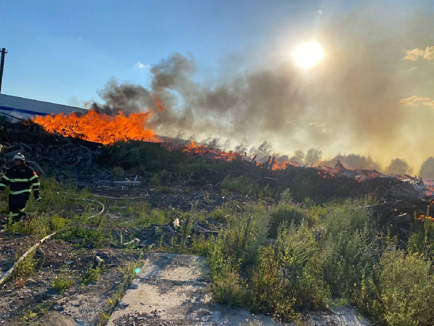 Чехов, пожар, деревня, сухостой, МЧС