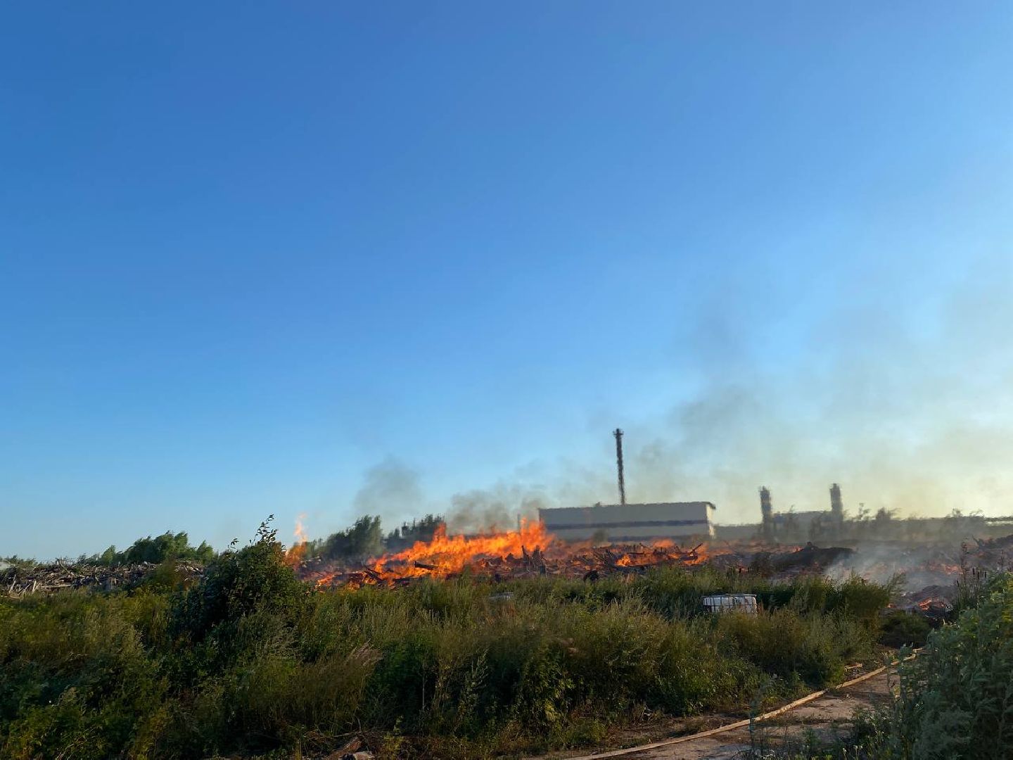 Чехов, пожар, деревня, сухостой, МЧС