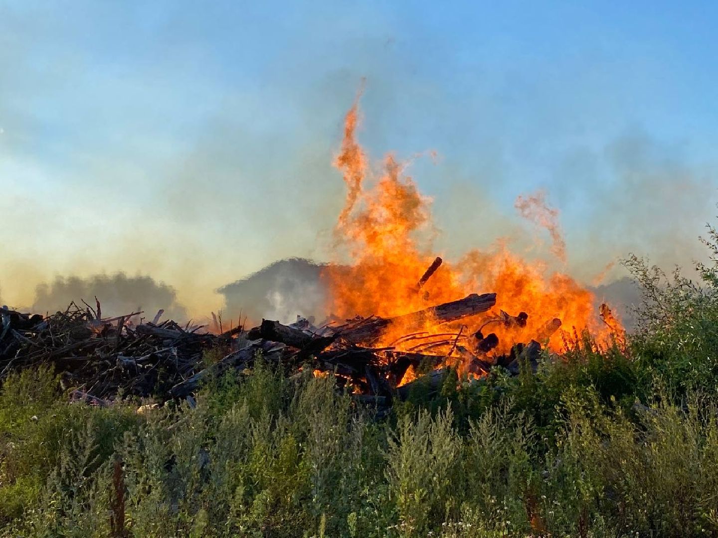 Чехов, пожар, деревня, сухостой, МЧС