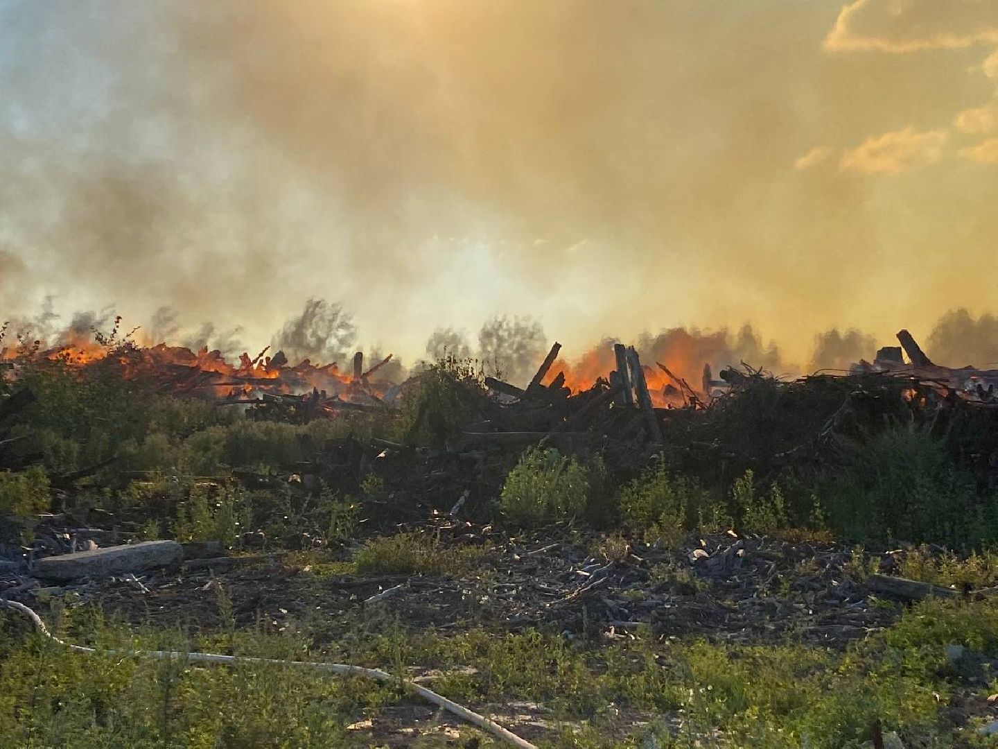 Чехов, пожар, деревня, сухостой, МЧС