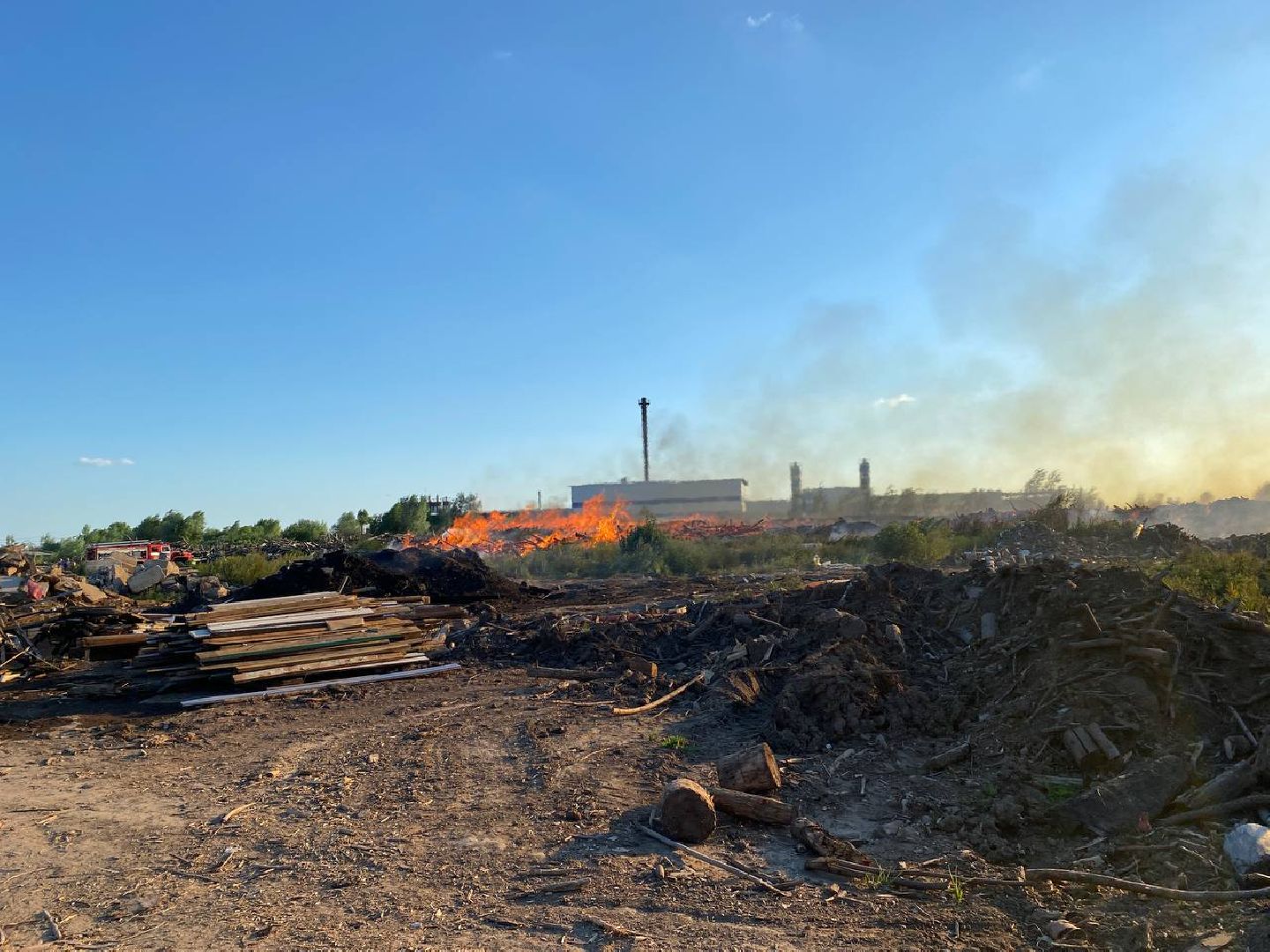 Чехов, пожар, деревня, сухостой, МЧС