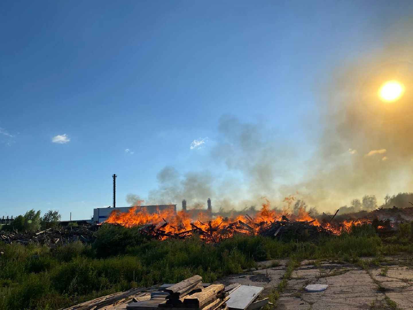 Чехов, пожар, деревня, сухостой, МЧС