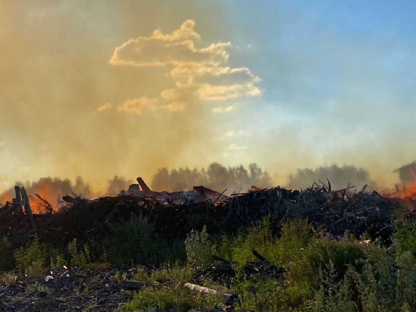 Чехов, пожар, деревня, сухостой, МЧС