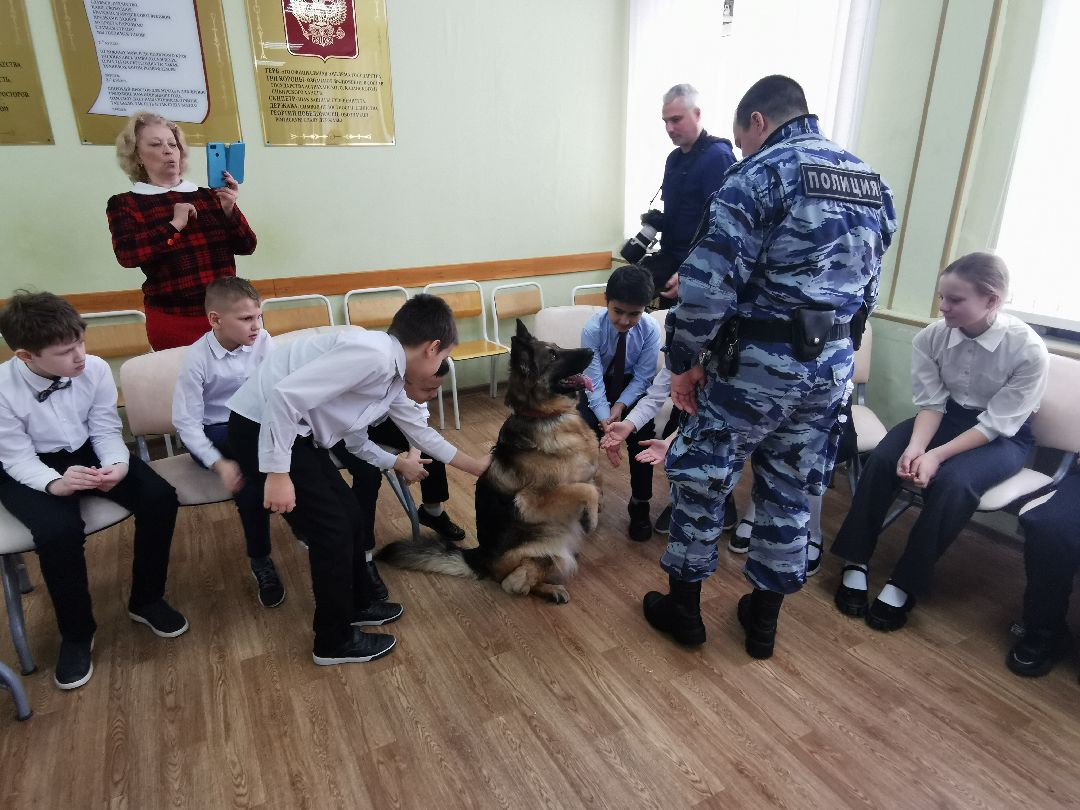 Подольск Общество