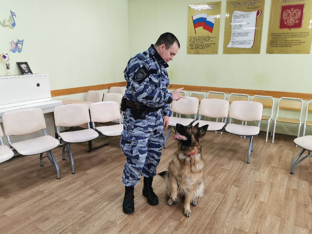 Подольск Общество