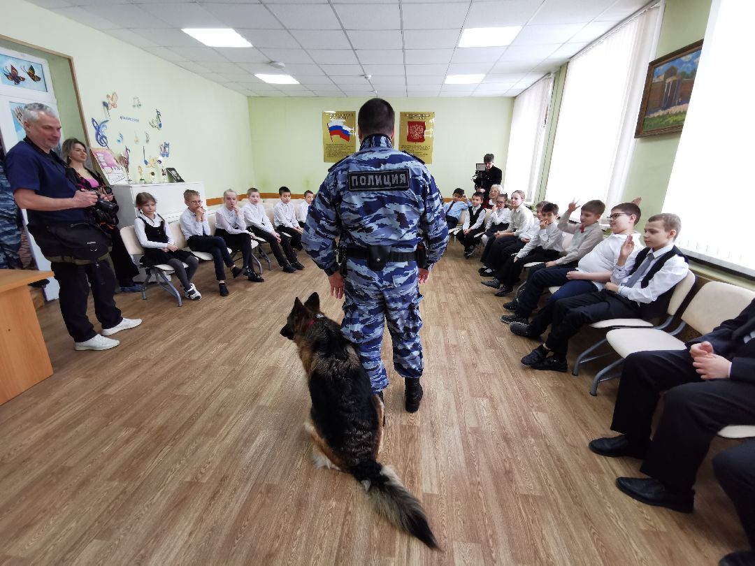 Подольск Общество