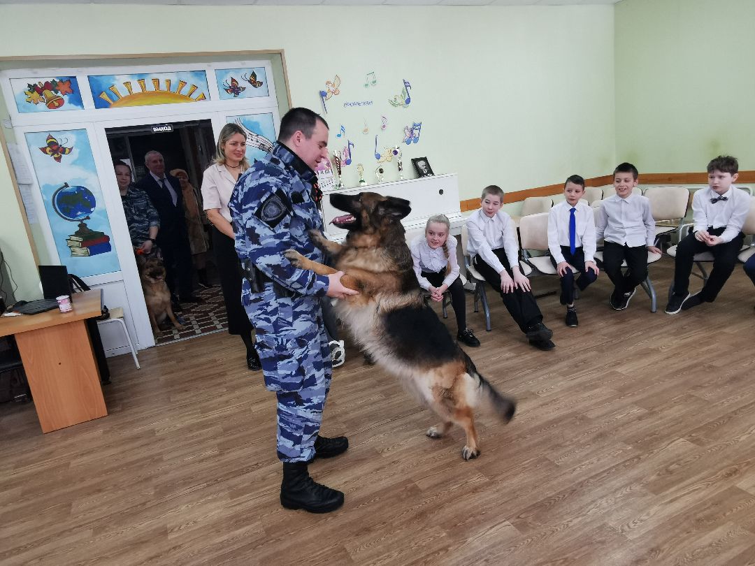 Подольск Общество