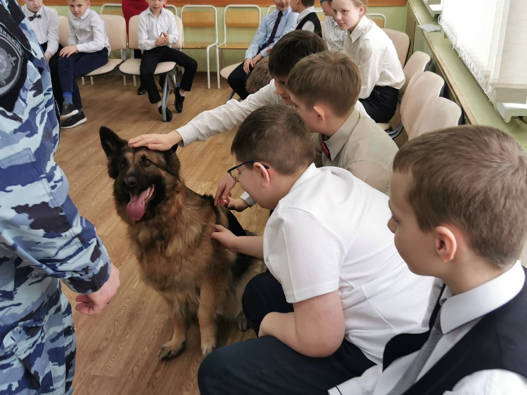 Подольск Общество
