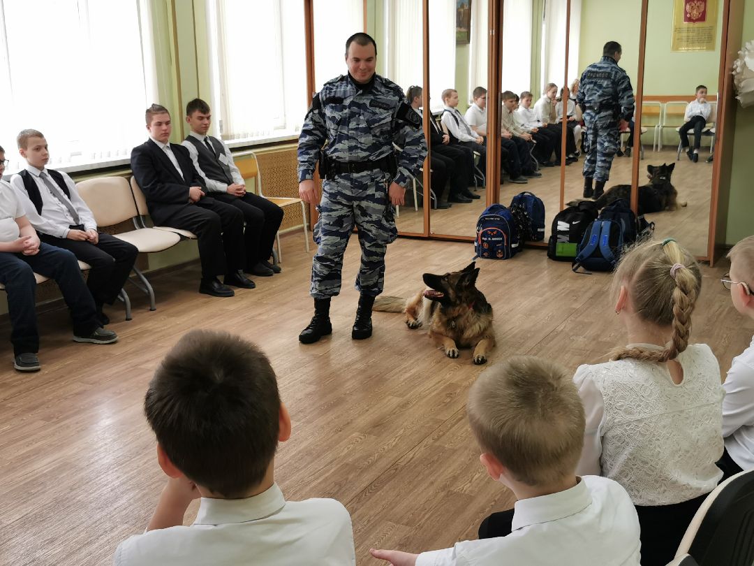 Подольск Общество