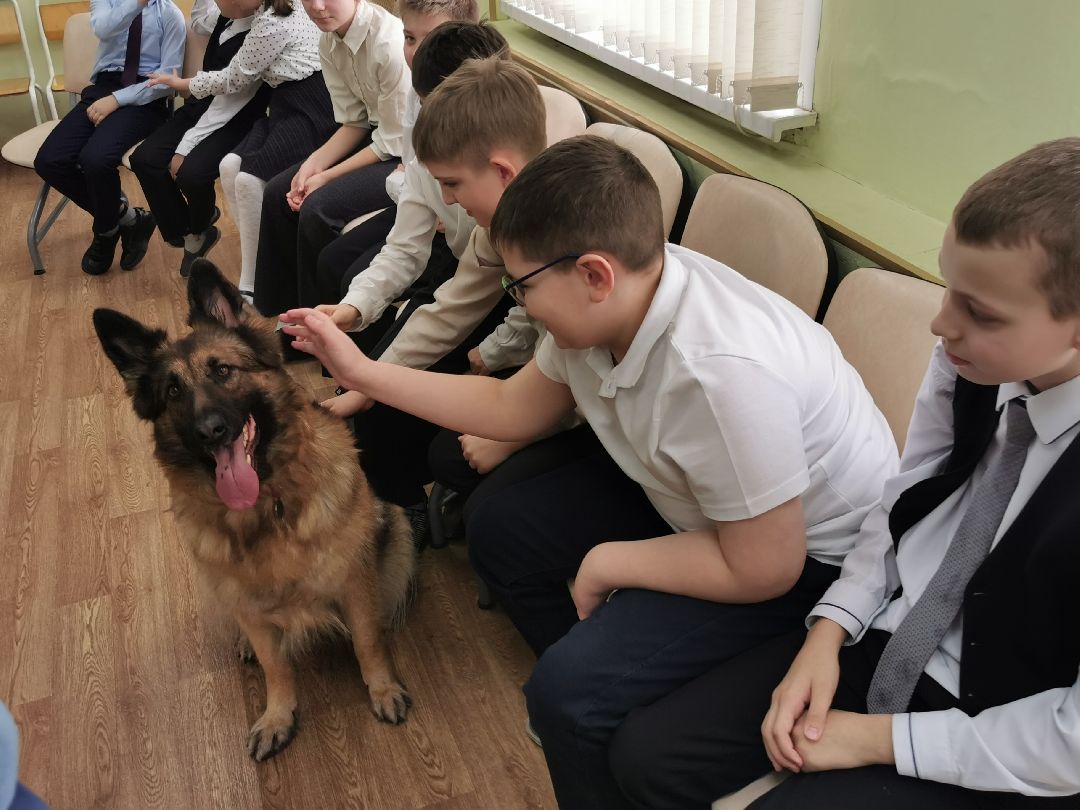 Подольск Общество