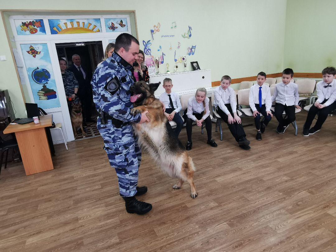 Подольск Общество