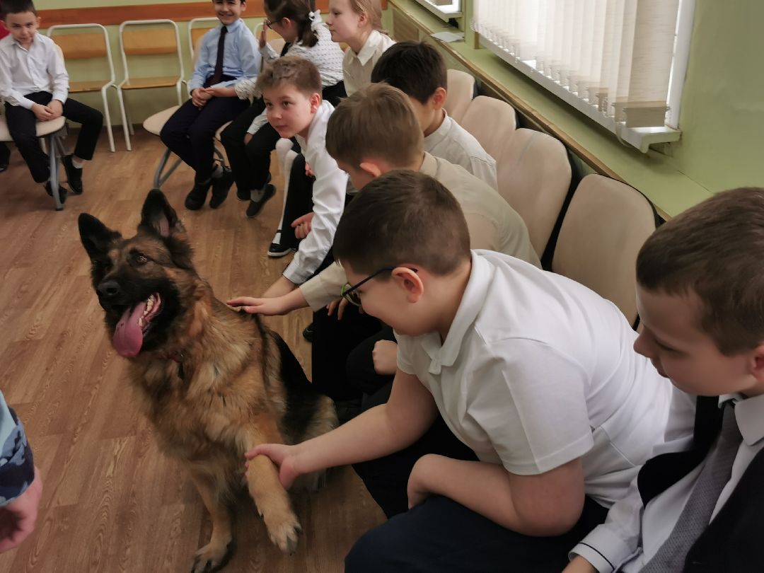 Подольск Общество