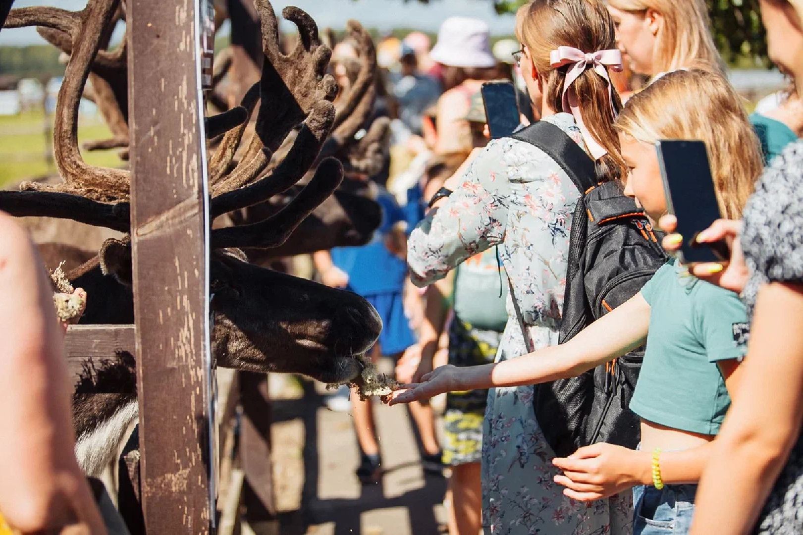 Общество, культура, праздник, День оленя, Орехово-Зуево