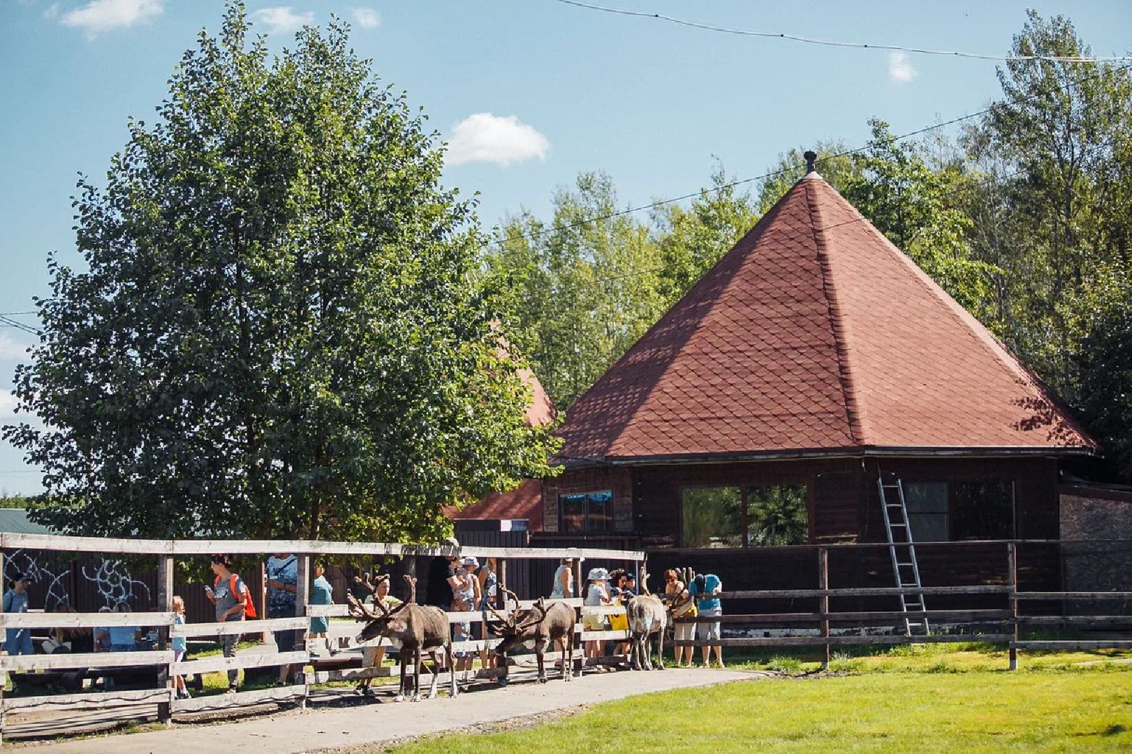 Общество, культура, праздник, День оленя, Орехово-Зуево