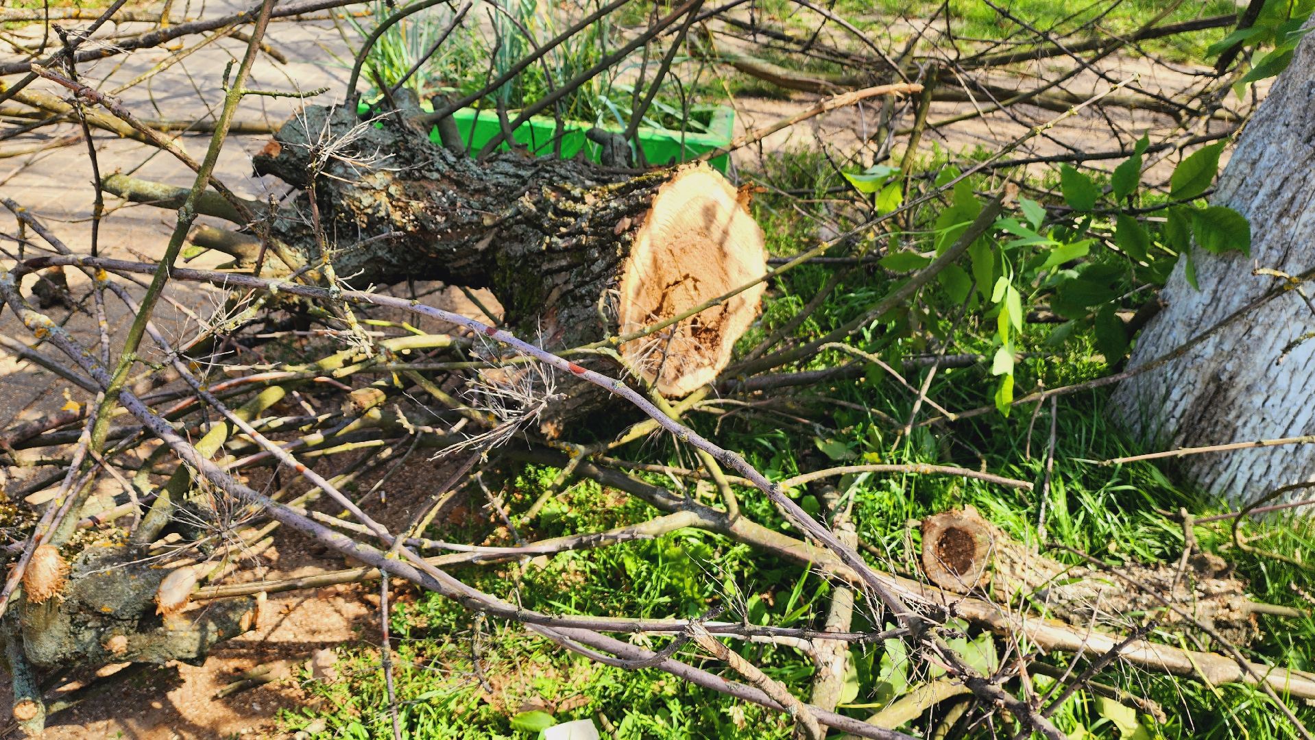 Подмосковье, Ивантеевка, благоустройство
