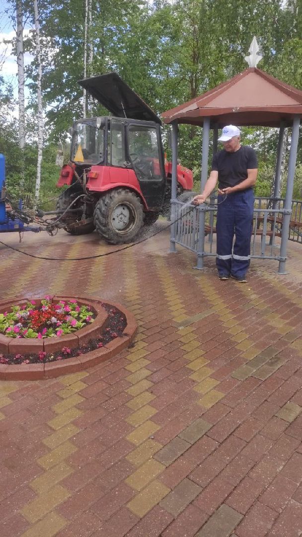 цветы,
