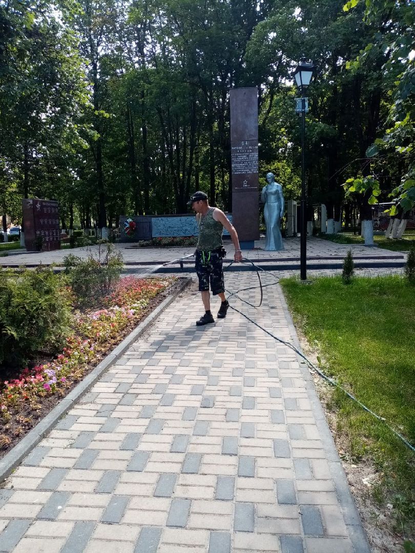 цветы,