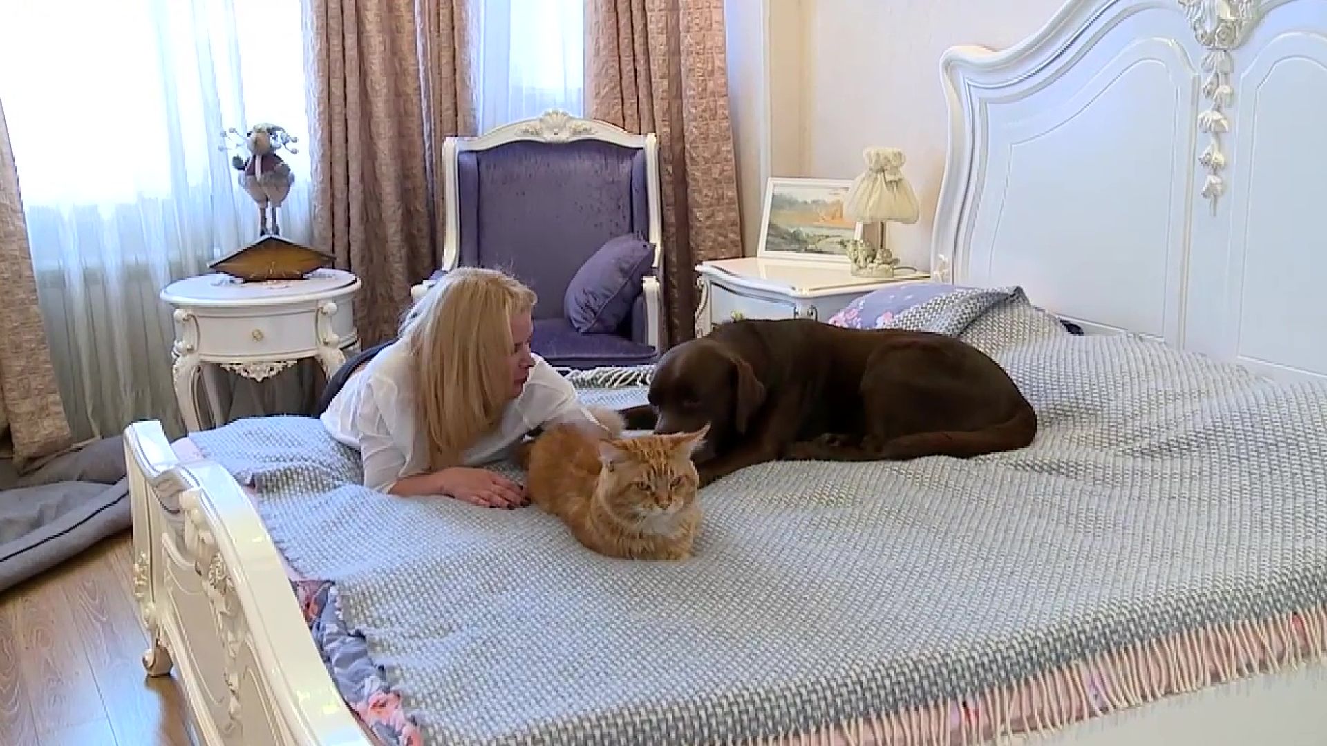 Реутов, День кошек, кошки, питомцы