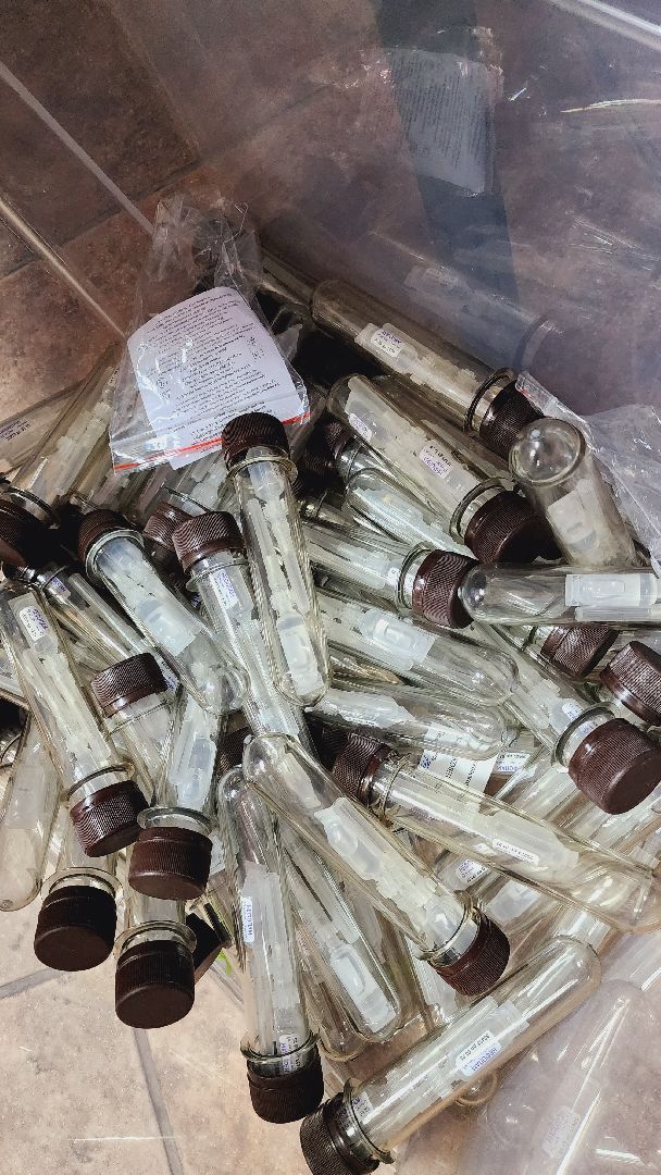 Подмосковье, Городской округ Пушкинский, Волонтеры, СВО