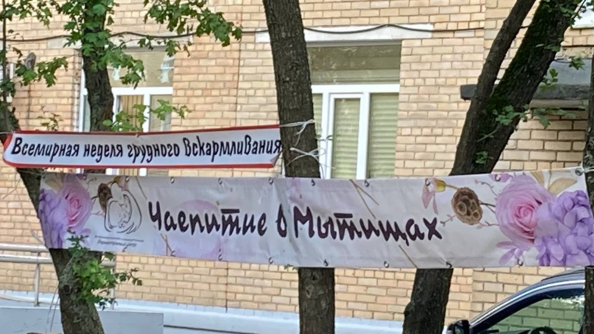 Школа грудного вскармливания, Мытищи, перинатальный центр