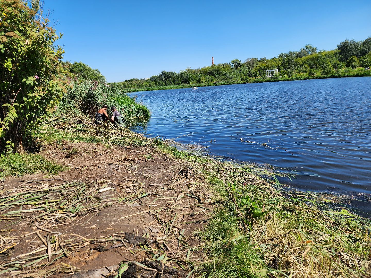 Очистка реки Яуза, Мытищи, Экология