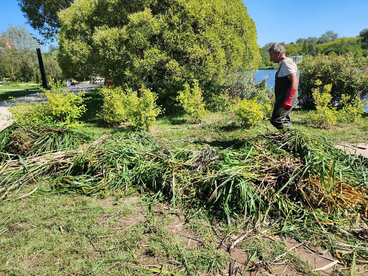 Очистка реки Яуза, Мытищи, Экология