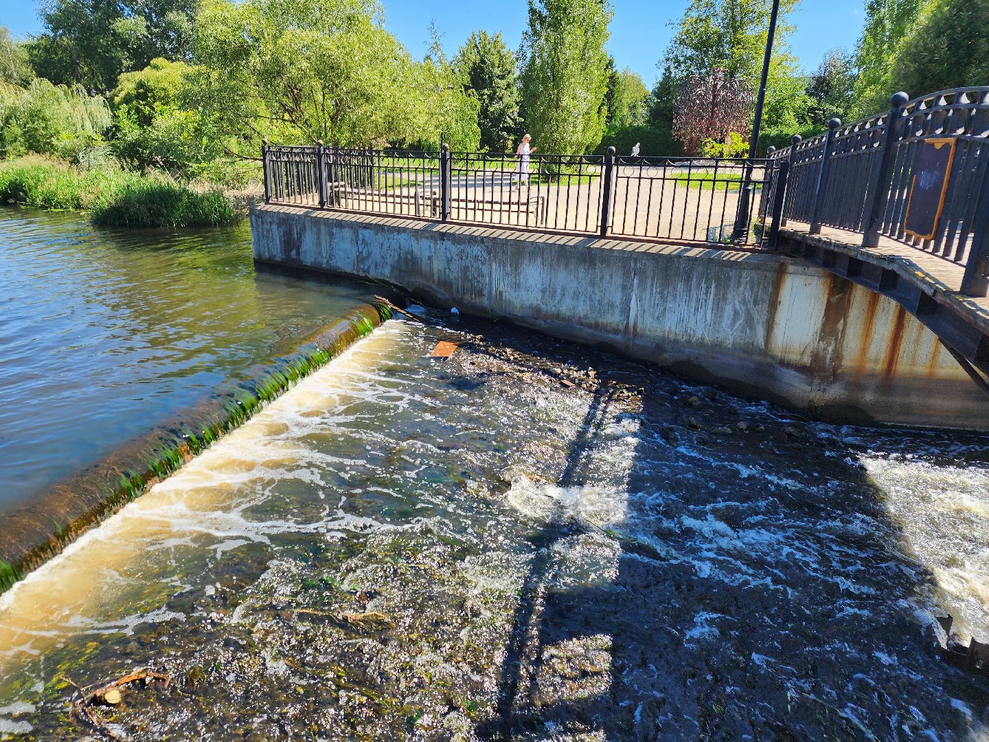 Очистка реки Яуза, Мытищи, Экология
