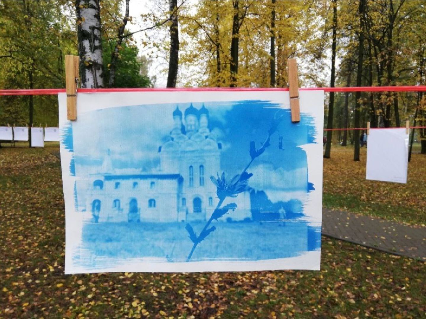 Мытищинский музей, Международный женский форум, Татьяна Зайцева, линогравюра, цианотипия