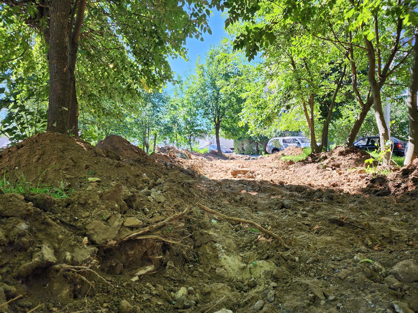 Серпухов, Подмосковье, благоустройство, народная тропа, губернатор