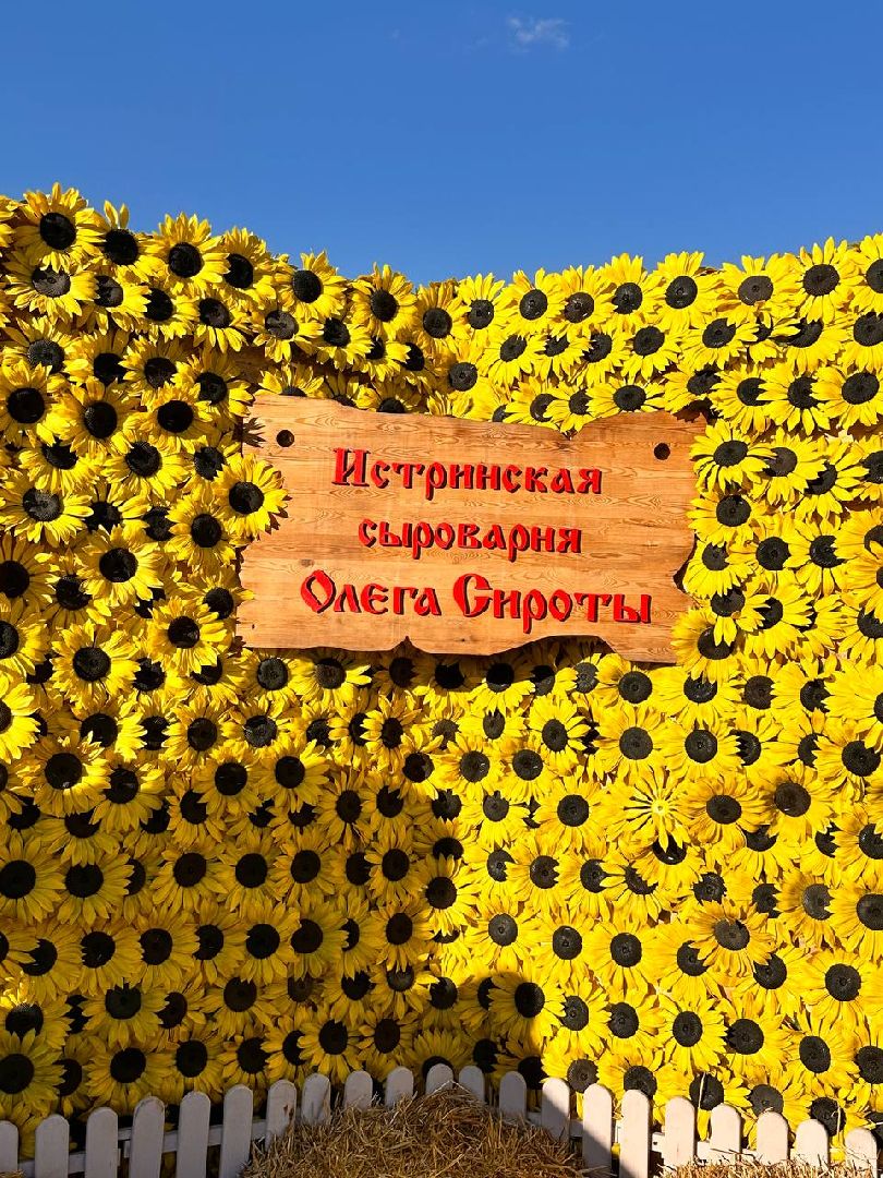 Можайск, Можайский городской округ, Истра, Подмосковье, фестиваль, гастрономический фестиваль, фермеры, продукция, туризм