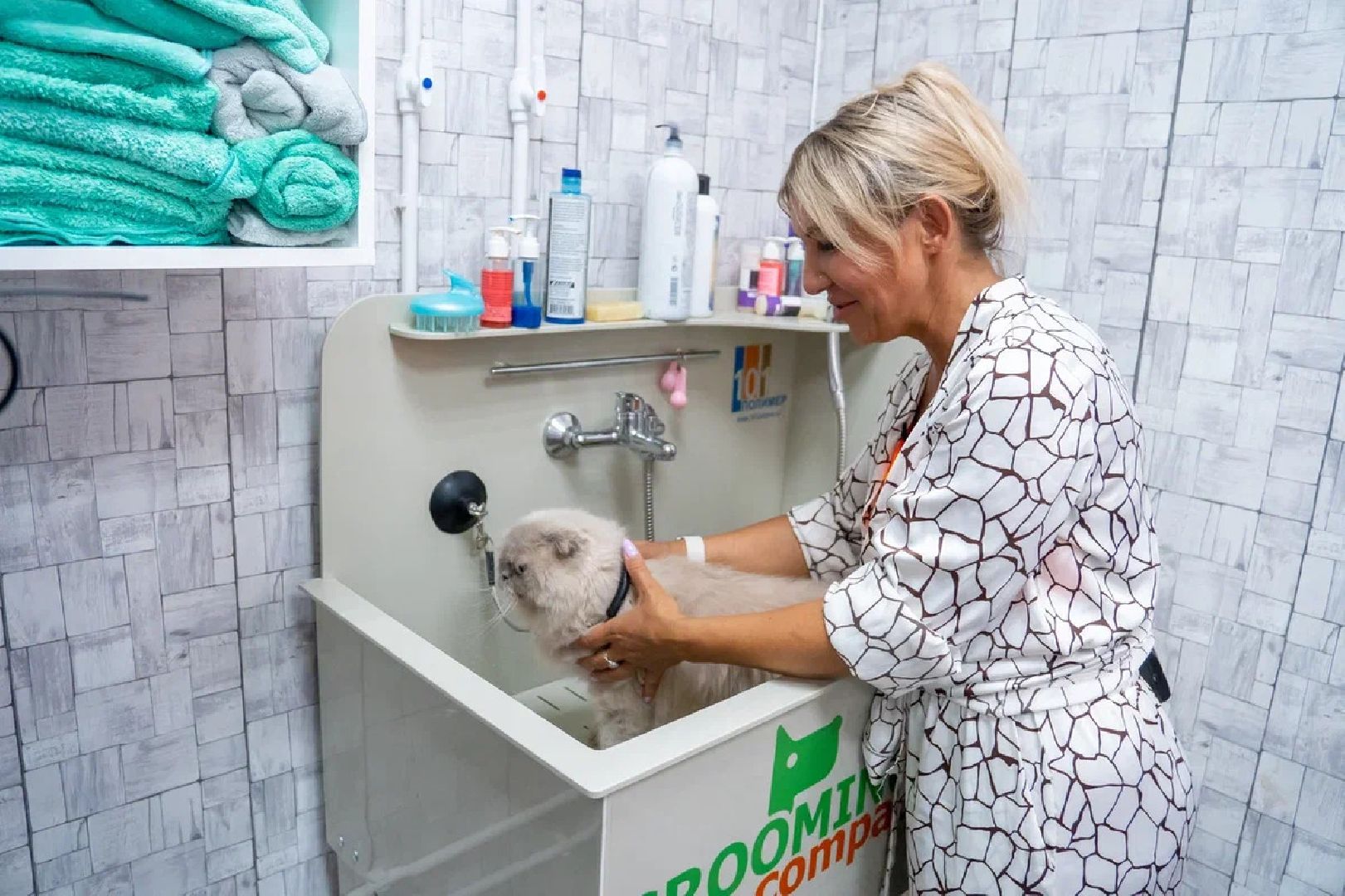 Общество, День кошек, Праздник, Румфолд, Ликино-Дулево, Куровское