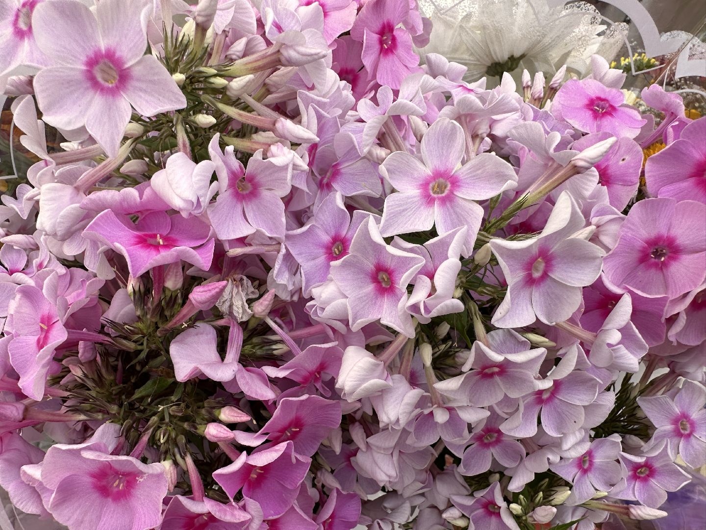 Одинцово, Одинцовское подворье, Мини базар, Торговля