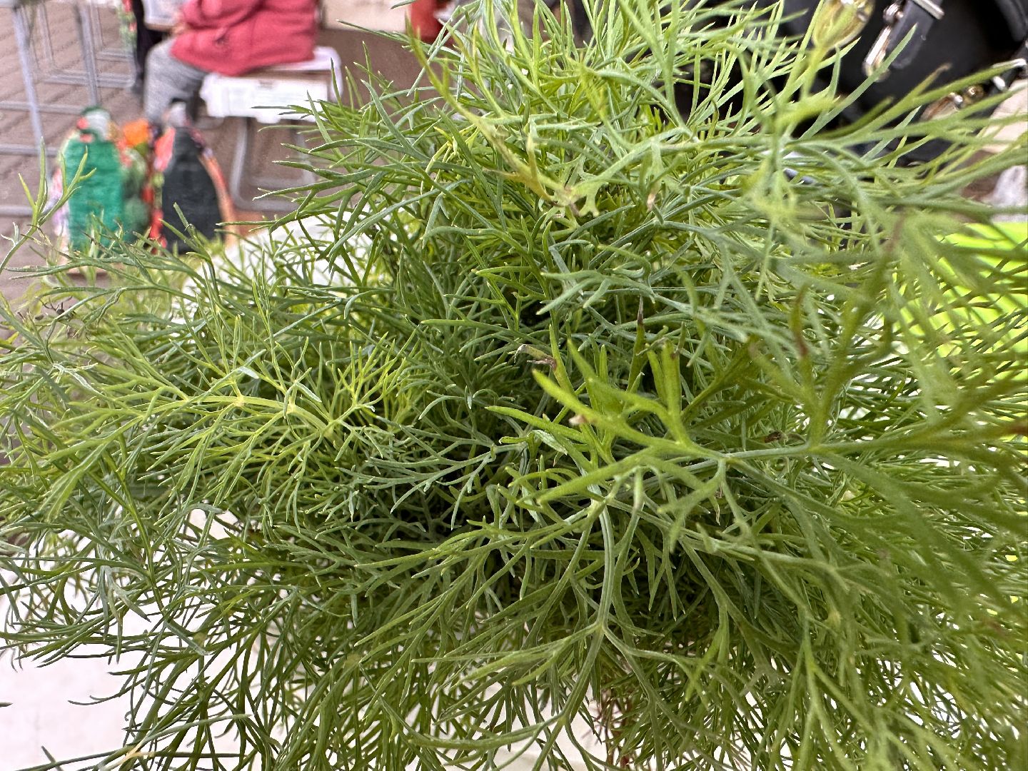 Одинцово, Одинцовское подворье, Мини базар, Торговля