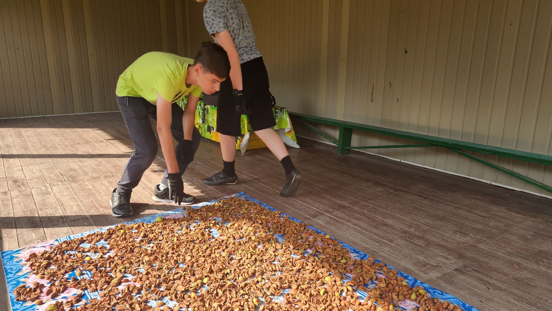 Кашира, каникулы, трудовые бригады, детский экологический центр