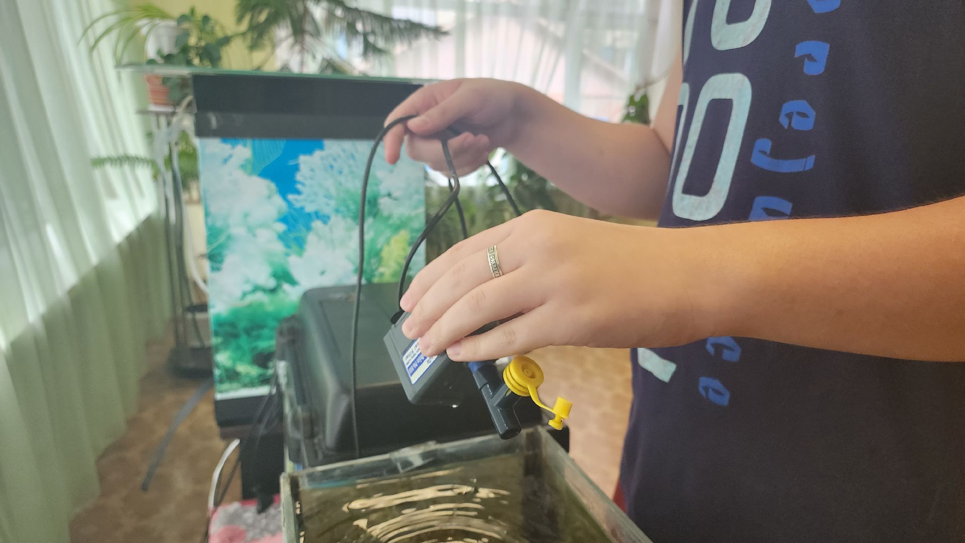 Кашира, каникулы, трудовые бригады, детский экологический центр