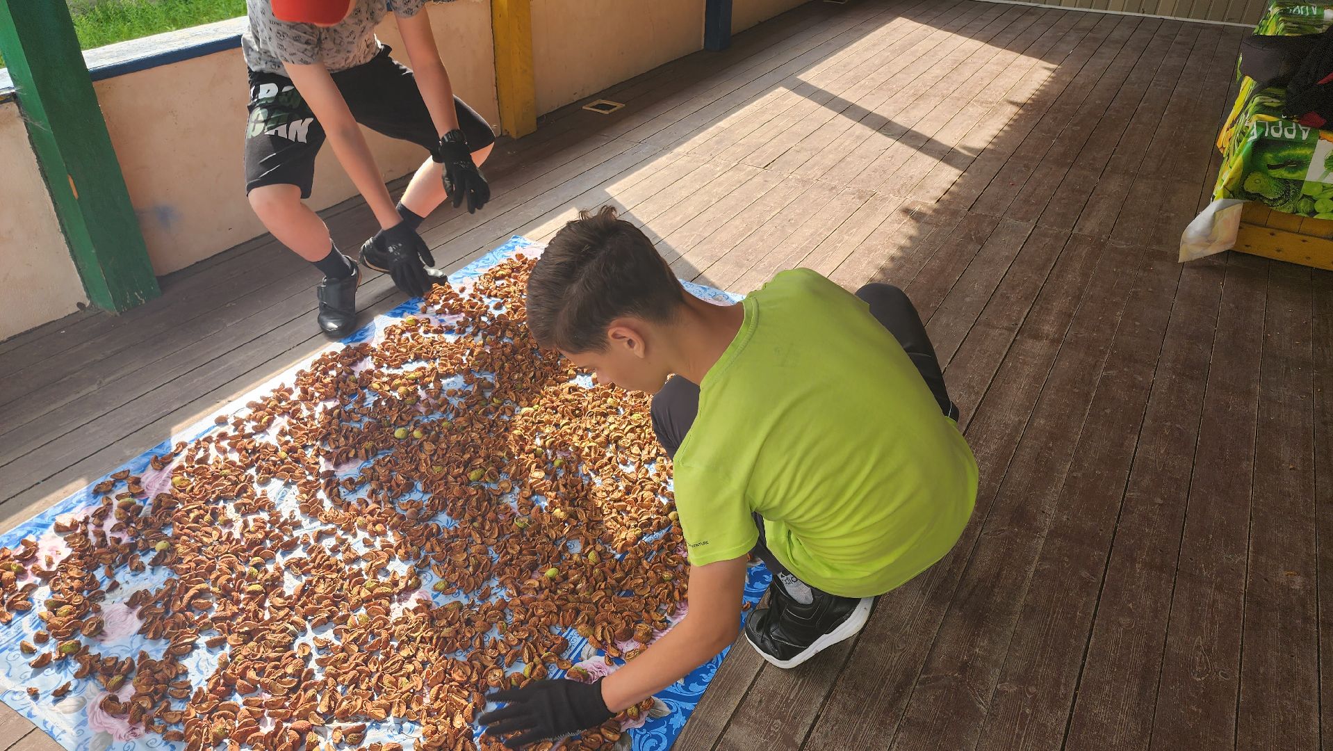 Кашира, каникулы, трудовые бригады, детский экологический центр