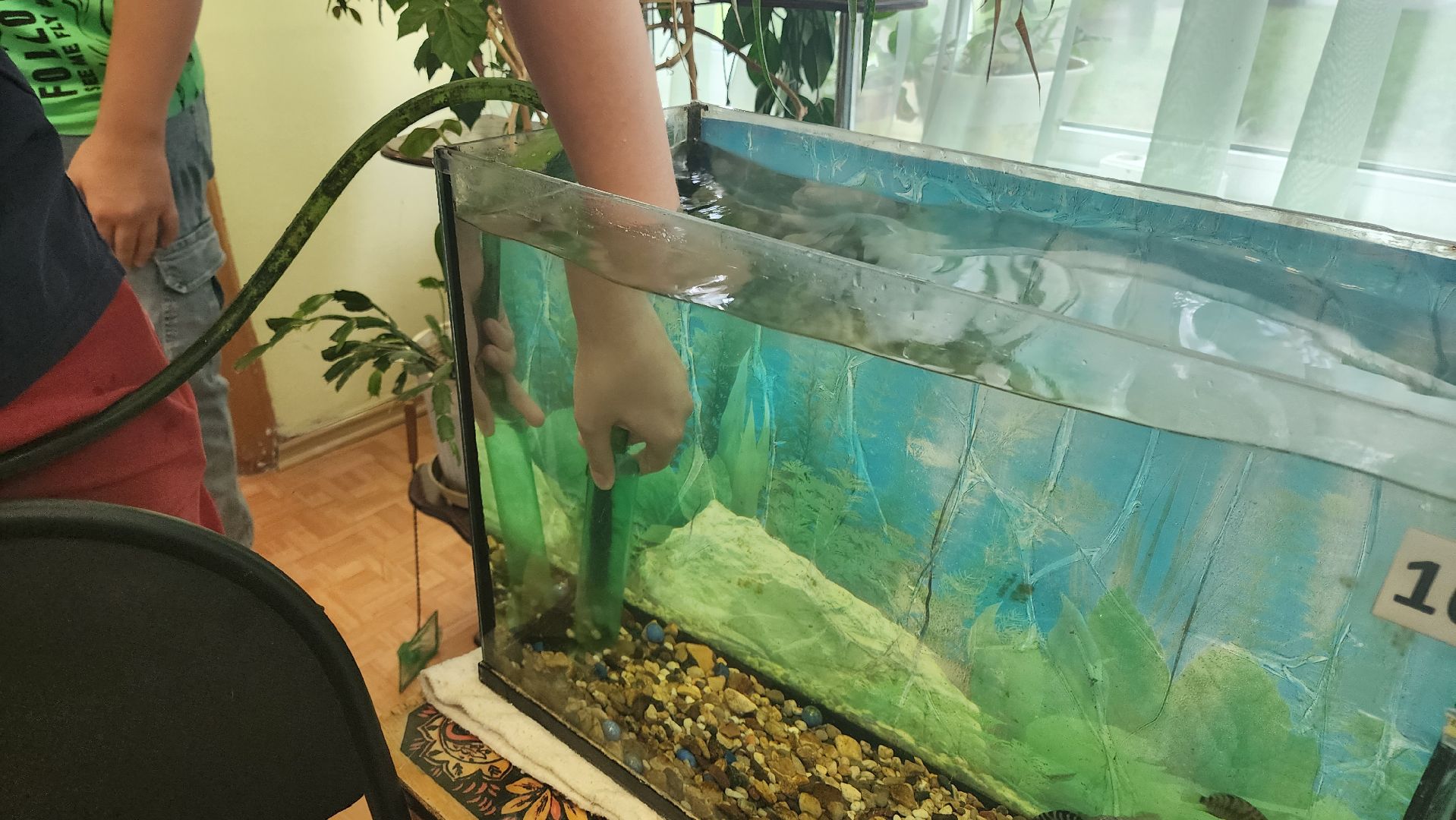 Кашира, каникулы, трудовые бригады, детский экологический центр