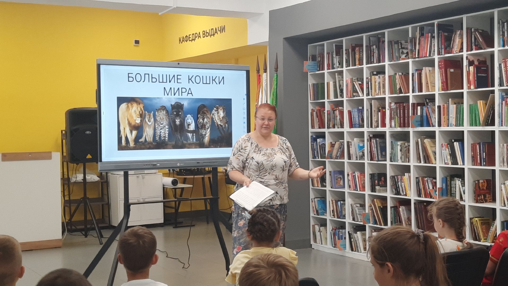 Шатура, День большой кошки, библиотека