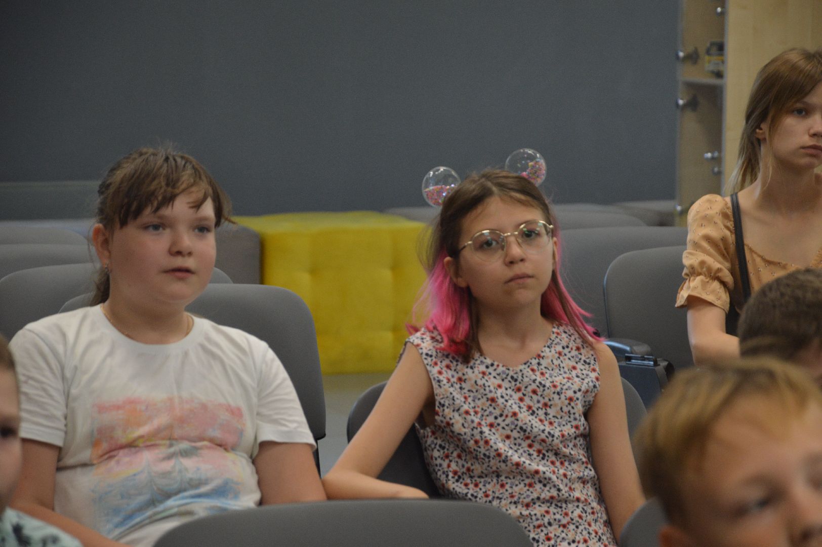 Шатура, День большой кошки, библиотека