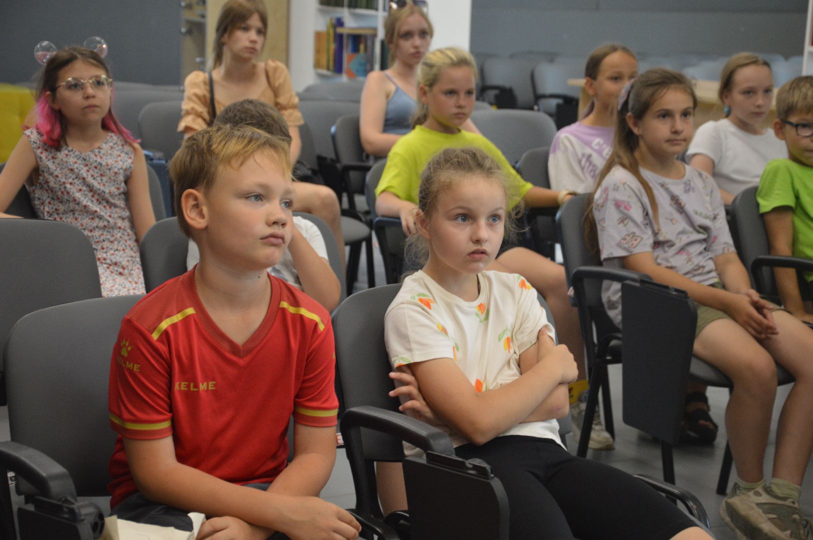 Шатура, День большой кошки, библиотека