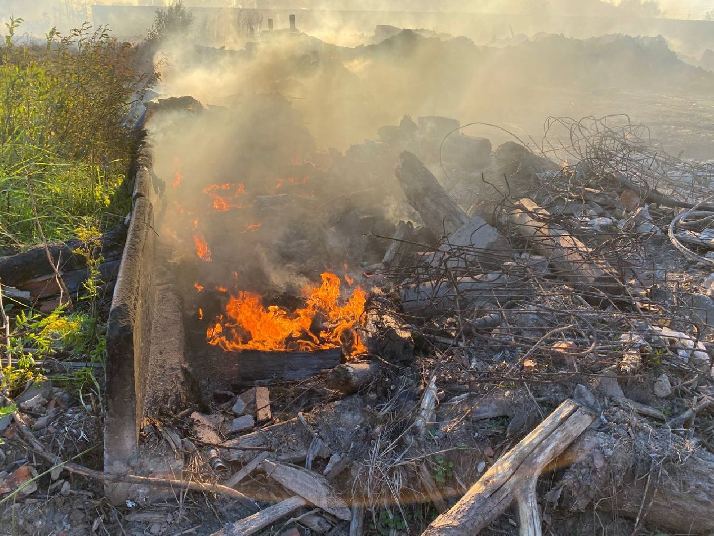 Чехов, пожар, деревня, сухостой, МЧС