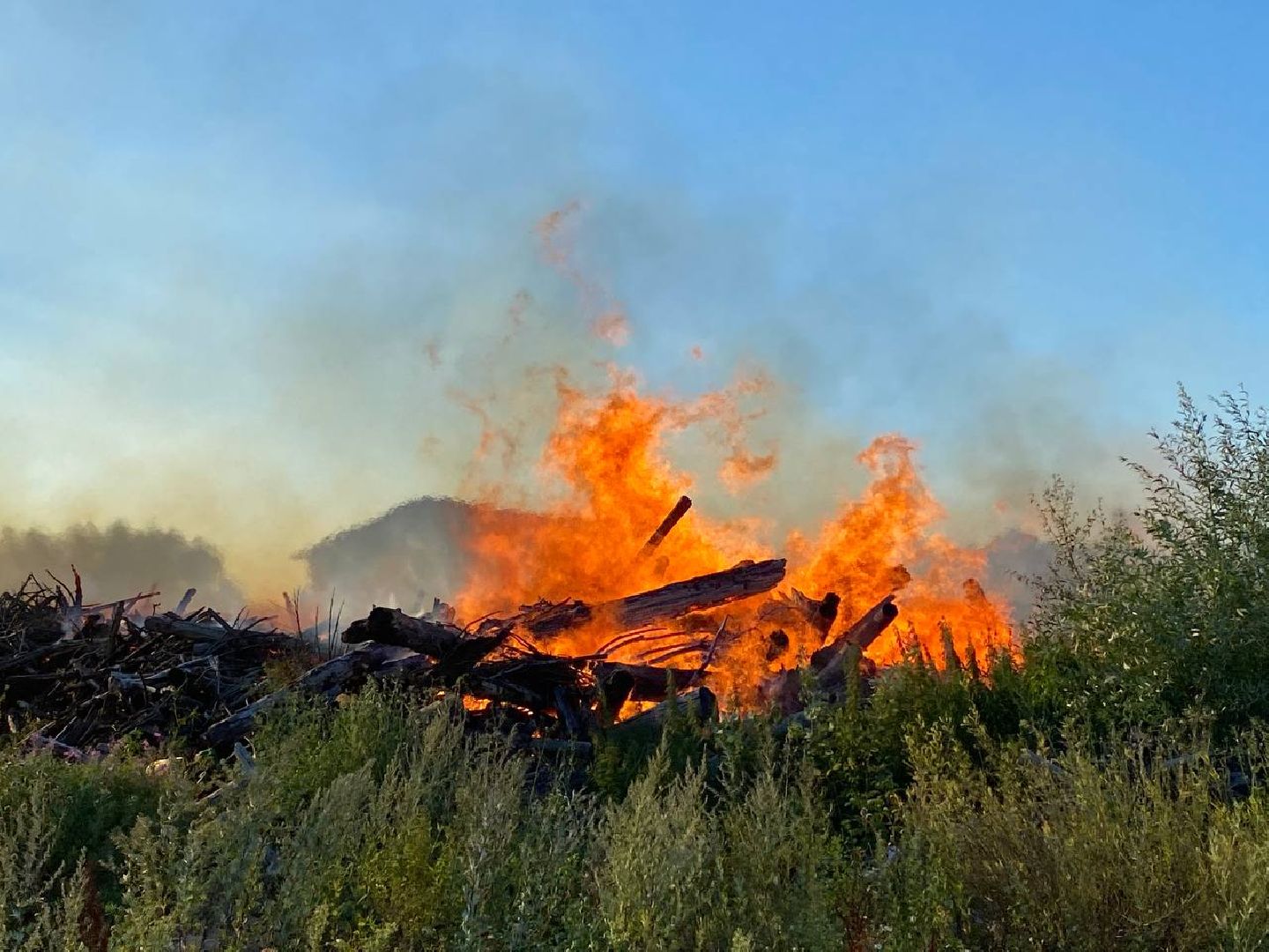 Чехов, пожар, деревня, сухостой, МЧС