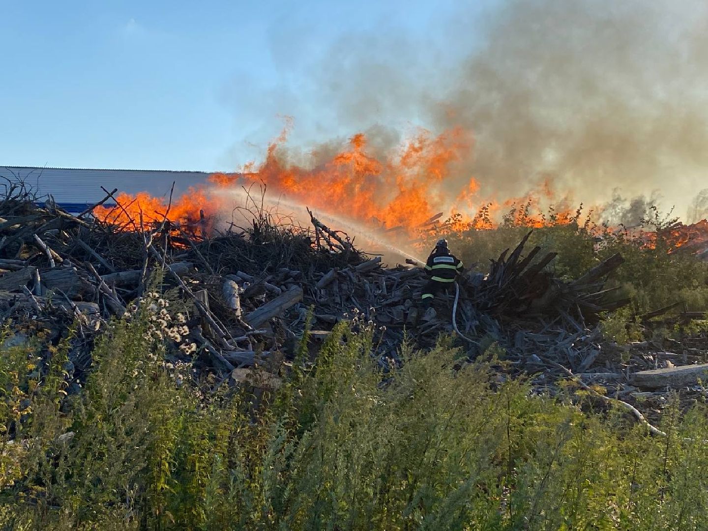Чехов, пожар, деревня, сухостой, МЧС