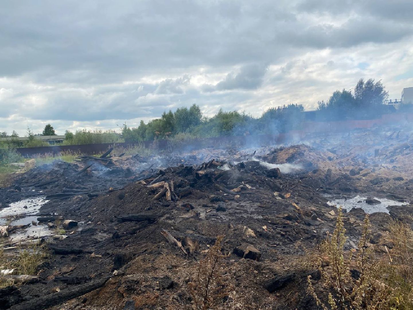 Чехов, пожар, деревня, сухостой, МЧС