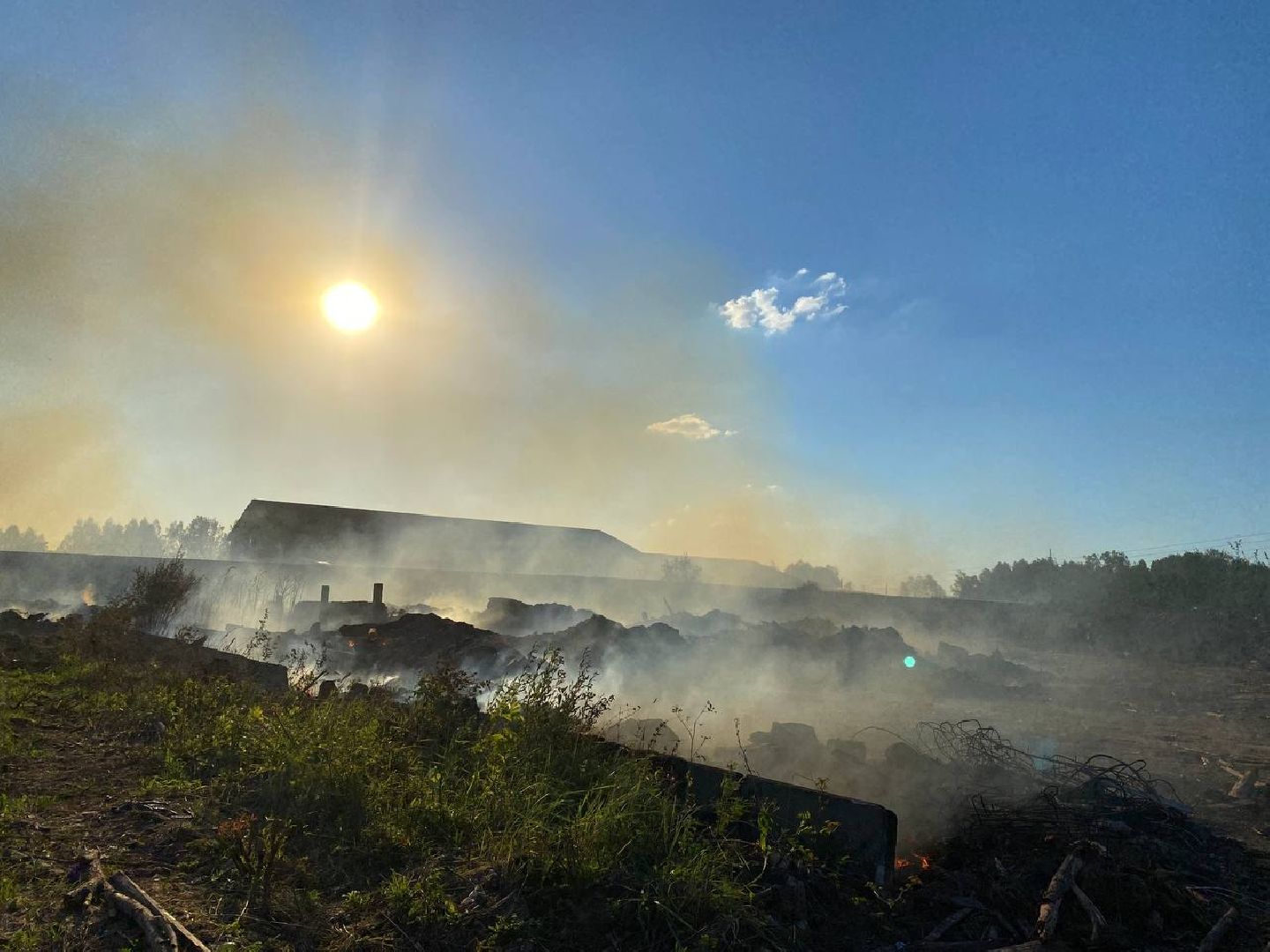 Чехов, пожар, деревня, сухостой, МЧС