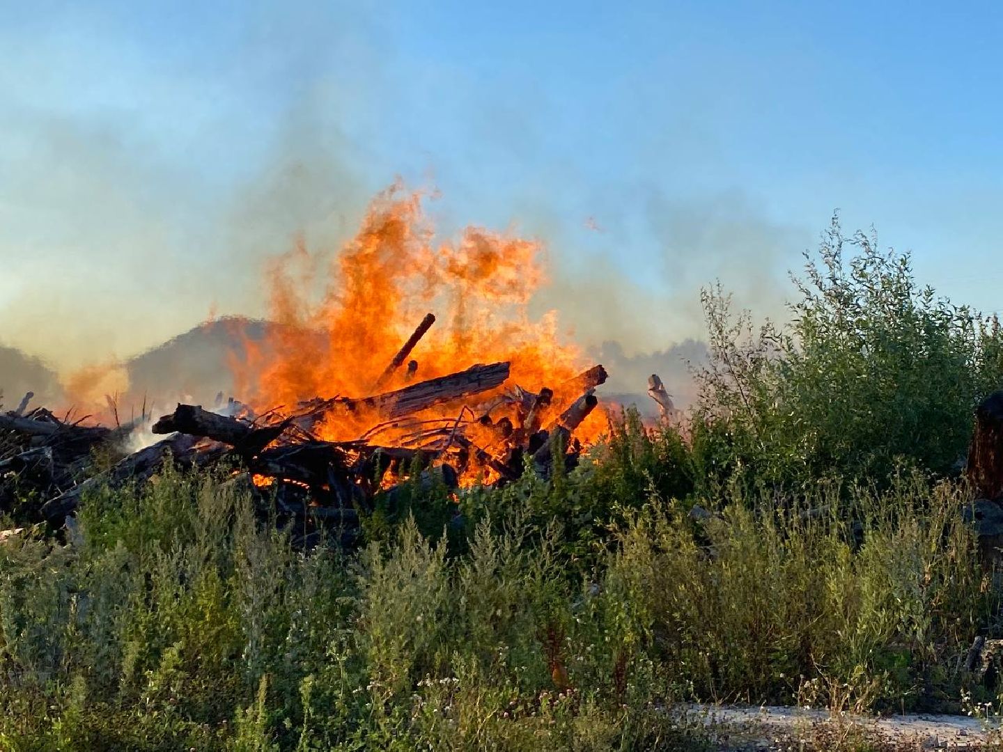 Чехов, пожар, деревня, сухостой, МЧС