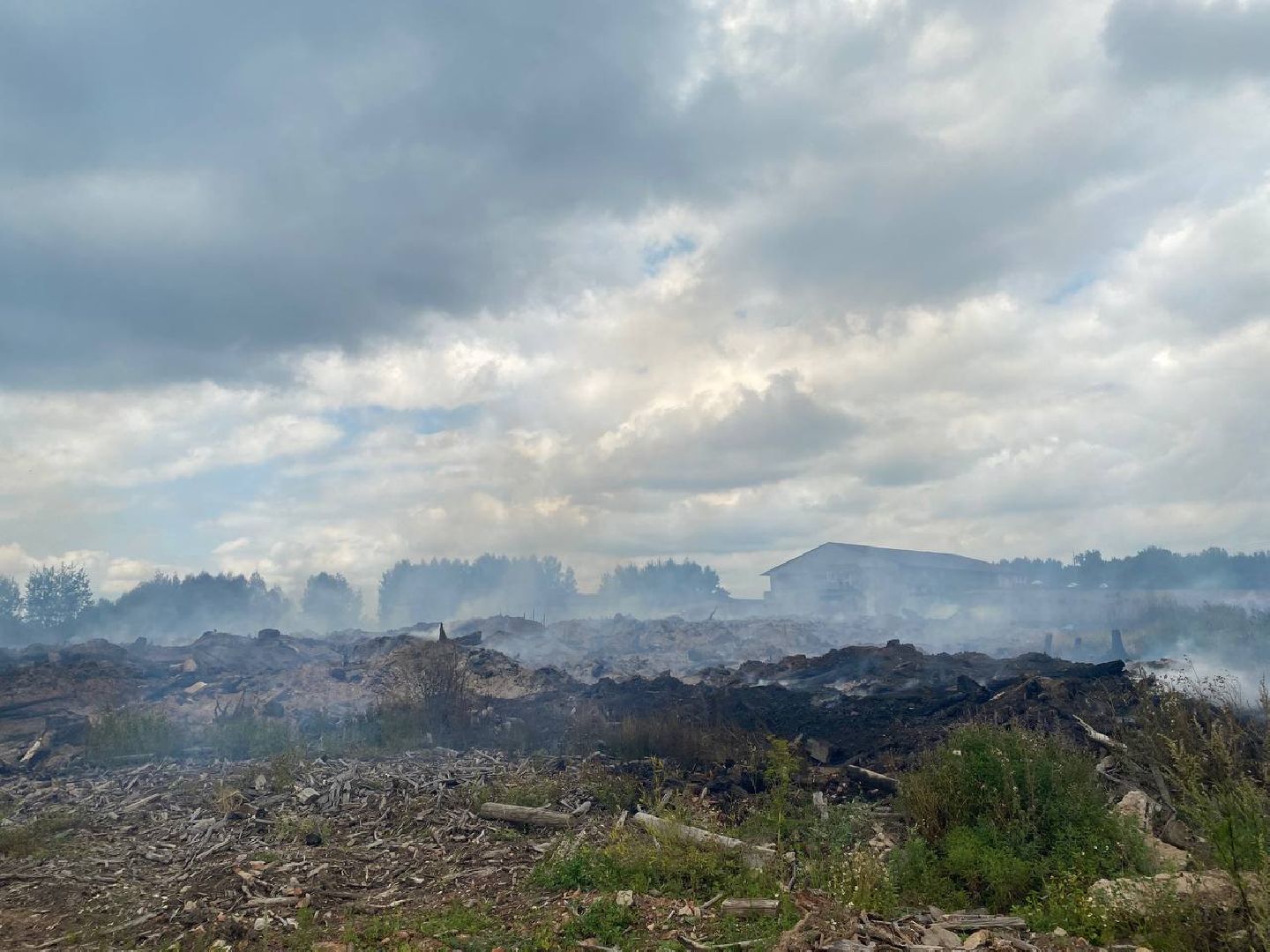 Чехов, пожар, деревня, сухостой, МЧС