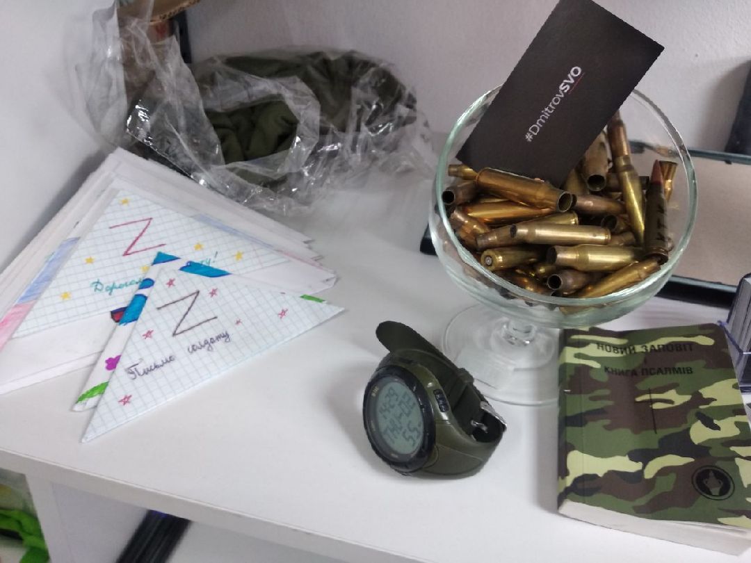 Дмитров, СВО, Проект