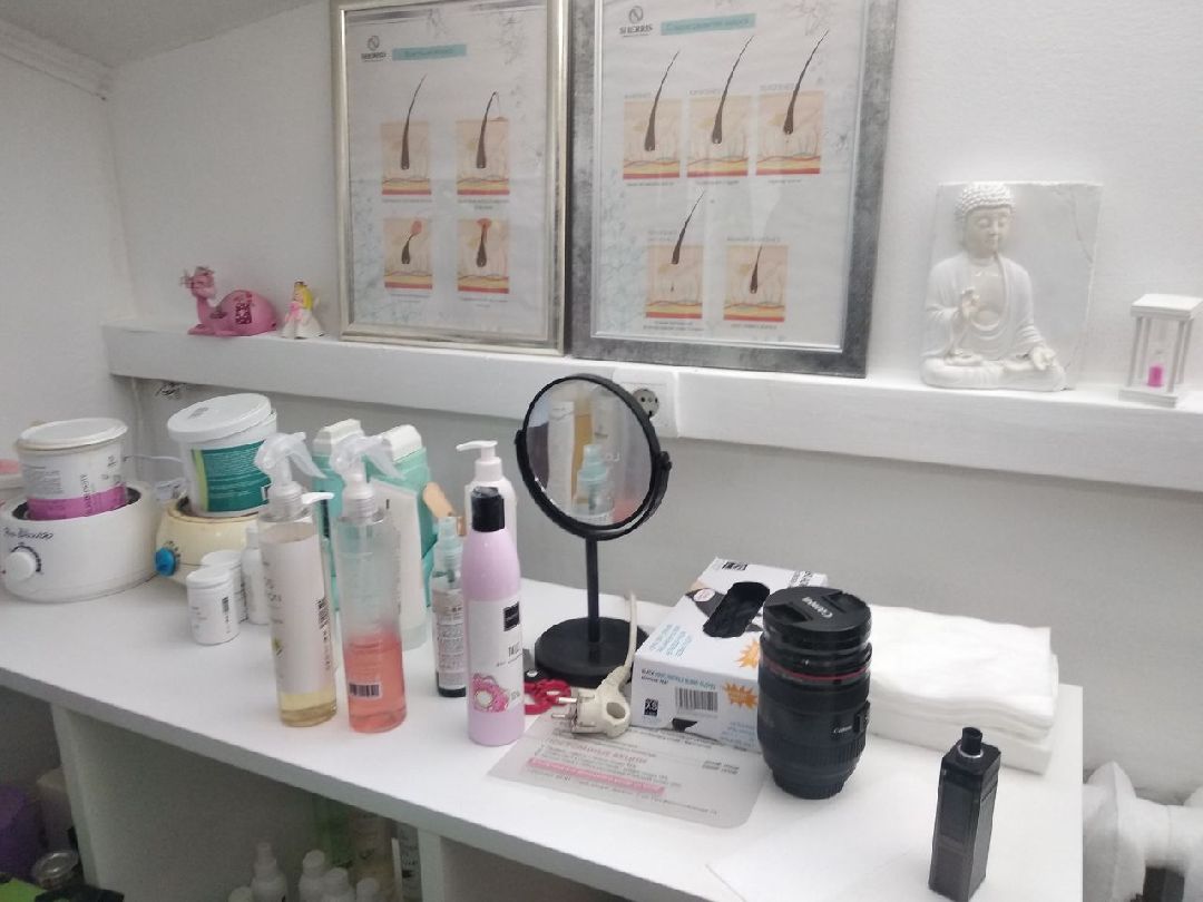 Дмитров, СВО, Проект